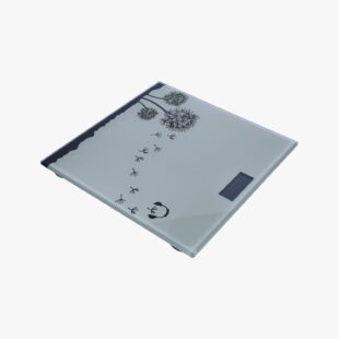 Nareena's Weighing Scale
